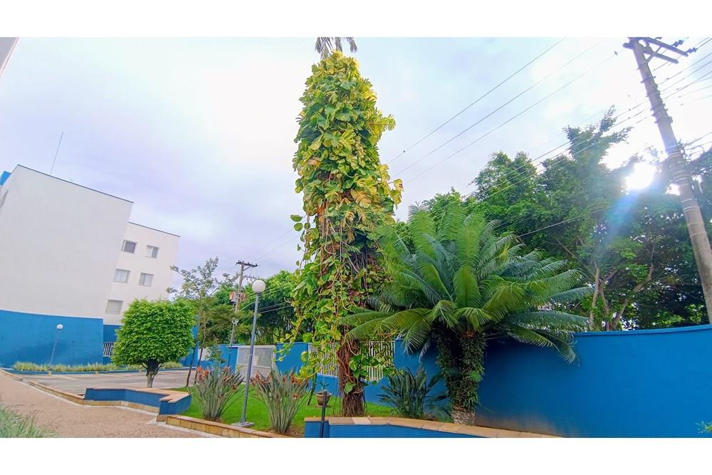 Apartamento - Alugar - Caraguatatuba , São Paulo - 9bf0a064-baea-43e7-a42e-8d71f85ea93a~1.jpg - 631571009-12