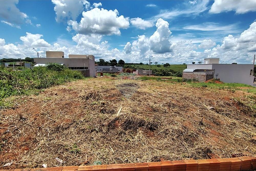 Terreno - Venda - Mirassol , São Paulo - IMG_20260207_130740709_HDR.jpg - 630401039-19