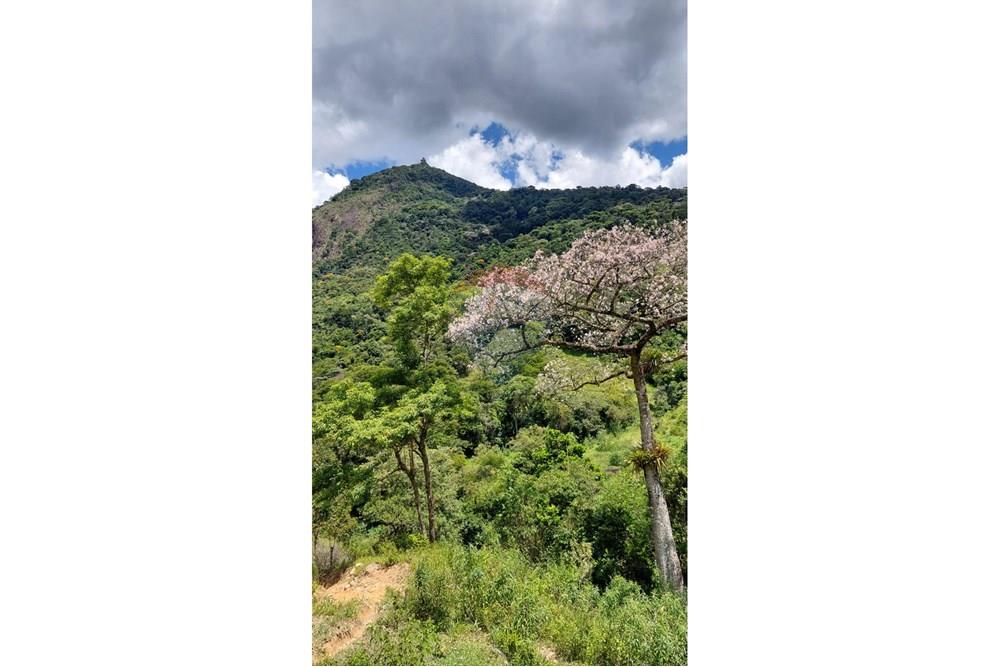 Chácara / Sítio / Fazenda - Venda - Macaé , Rio de Janeiro - 449ab099-2618-4978-87e5-6f72c7135df5.jpeg - 630361003-106