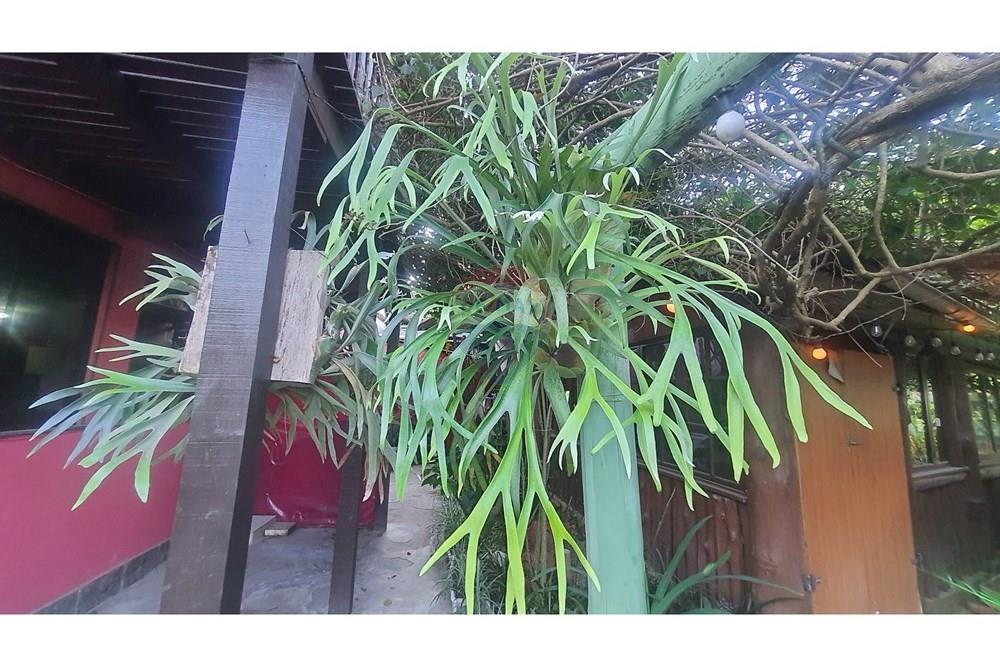 Casa Comercial - Venda - Teresópolis , Rio de Janeiro - 20250920_170447.jpg - 630191078-42