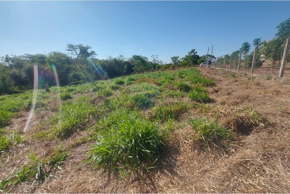 Chácara / Sítio / Fazenda - Venda - Álvares Machado , São Paulo - WhatsApp Image 2025-09-18 at 16.37.31 (1).jpeg - 630861066-7