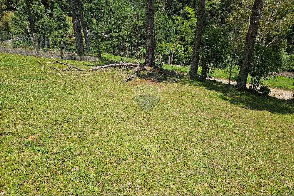 Terreno - Venda - Nova Friburgo , Rio de Janeiro - 20251111_103923.jpg - 630551024-83