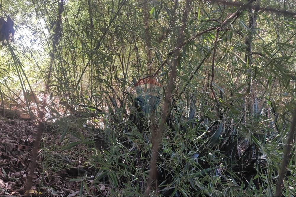 Terreno - Venda - Paraíba do Sul , Rio de Janeiro - IMG_20251106_140004.jpg - 631411001-102