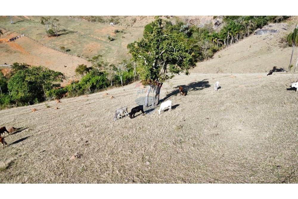 Chácara / Sítio / Fazenda - Venda - Santa Isabel , São Paulo - IMG-20250901-WA0304.jpg - 631491001-239