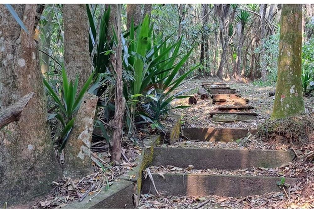 Chácara / Sítio / Fazenda - Venda - Araçariguama , São Paulo - IMG-20240913-WA0042.jpg - 631601010-7