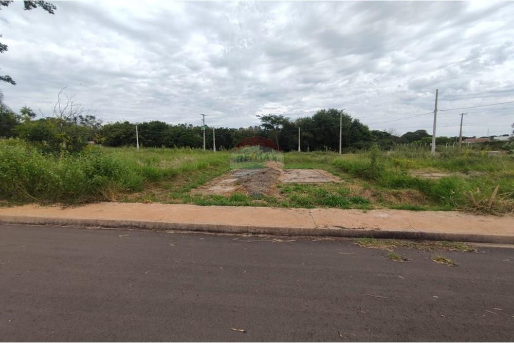 Terreno - Venda - Andradina , São Paulo - WhatsApp Image 2025-03-31 at 10.14.12 (3).jpeg - 631201044-130