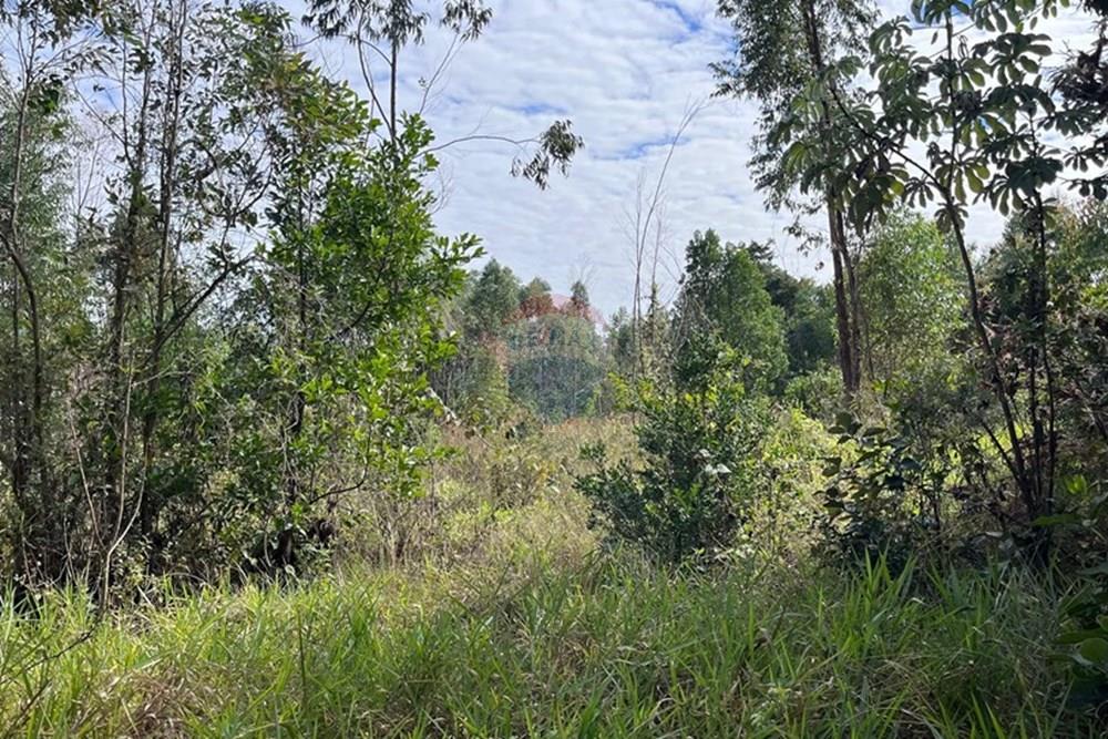 Terreno - Venda - Cabreúva , São Paulo - foto 23.jpg - 630531013-11