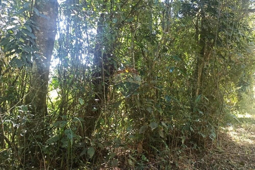 Terreno - Venda - Mairiporã , São Paulo - WhatsApp Image 2025-07-31 at 01.49.05 (3).jpeg - 631361025-34