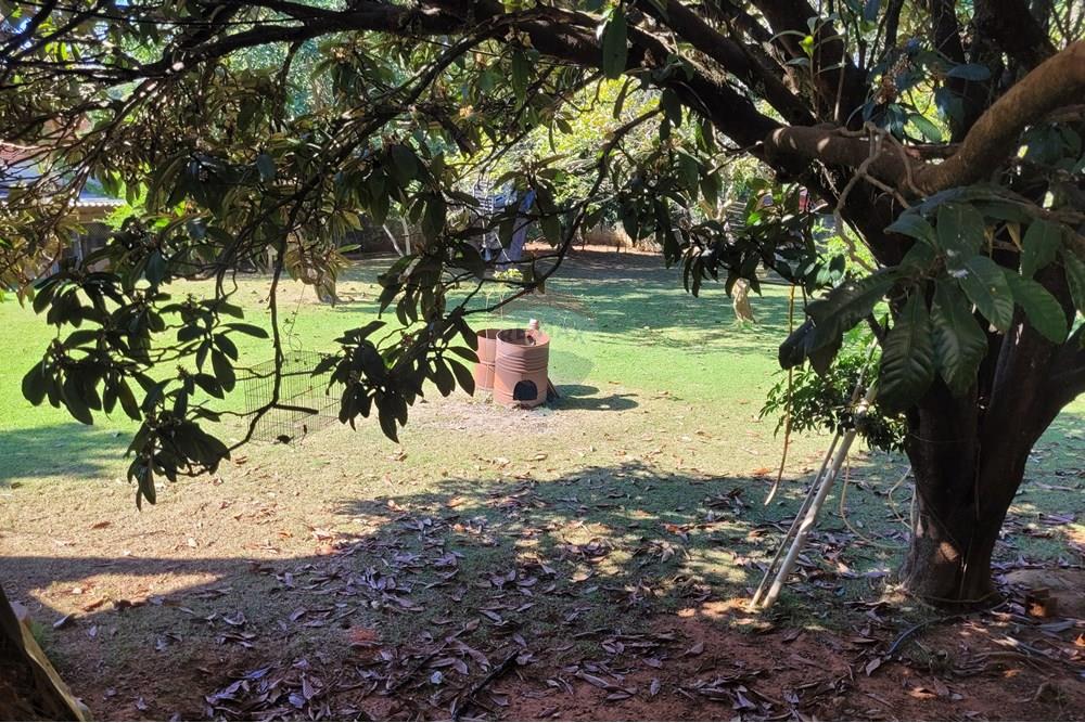 Chácara / Sítio / Fazenda - Venda - Araçoiaba da Serra , São Paulo - 20250601_103215.jpg - 630601294-1