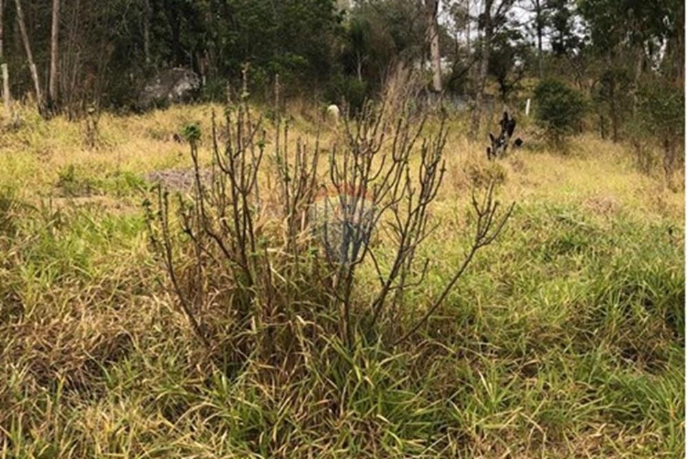 Terreno - Venda - Mairiporã , São Paulo - WhatsApp Image 2025-09-17 at 15.06.09.jpeg - 631361059-4