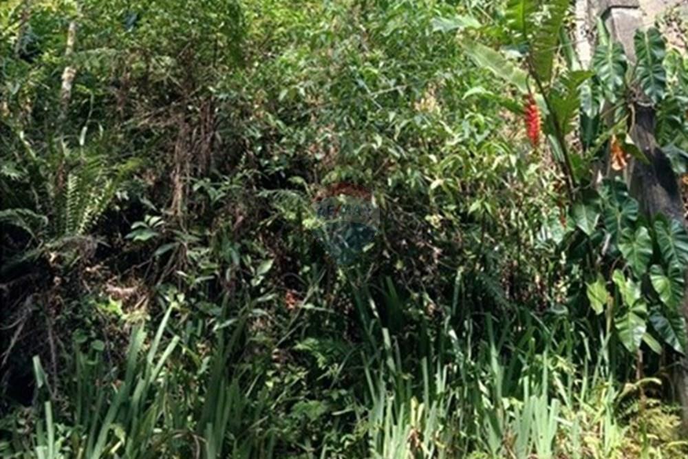 Terreno - Venda - Mairiporã , São Paulo - vizinho.jpeg - 631361025-34