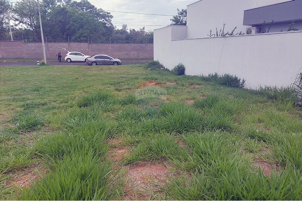 Terreno - Venda - Álvares Machado , São Paulo - 20251028_123547.jpg - 630861066-9