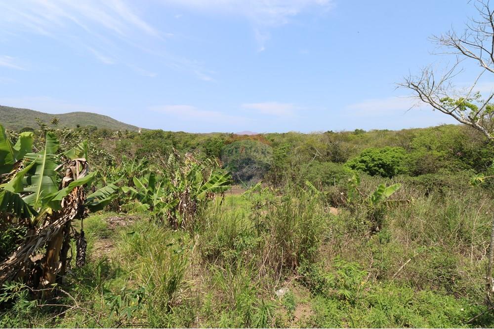 Terreno - Venda - Armação dos Búzios , Rio de Janeiro - IMG_3608.JPG - 630391002-125