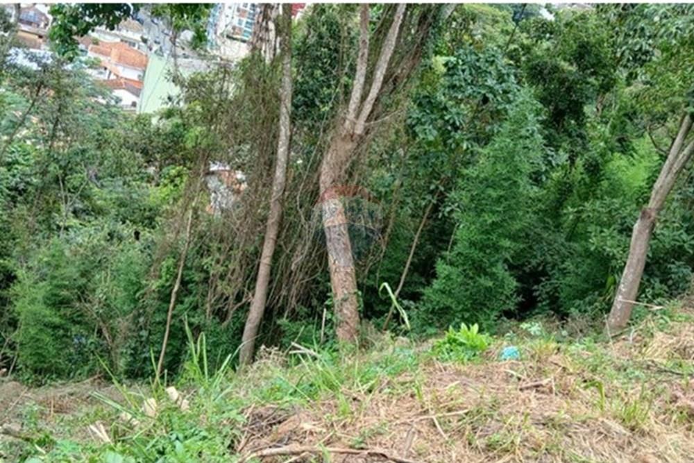 Terreno - Venda - Teresópolis , Rio de Janeiro - 5.jpg - 630191064-62