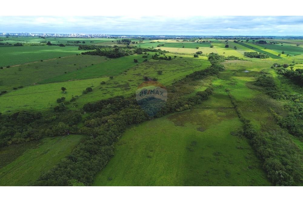 Chácara / Sítio / Fazenda - Venda - Birigui , São Paulo - 20260129_125800000_iOS.jpg - 630541040-79