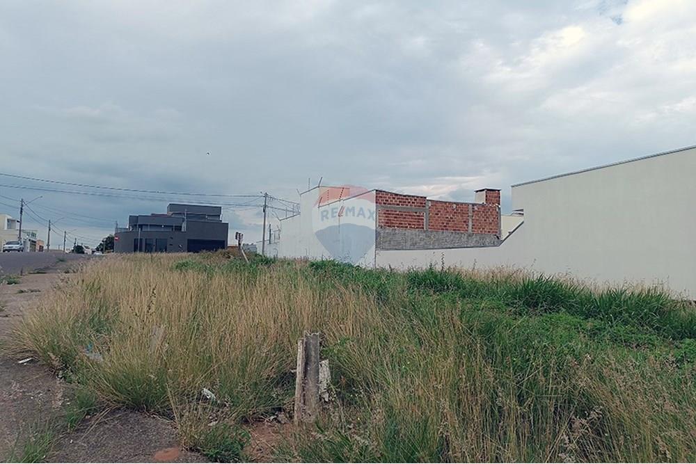 Terreno - Venda - Presidente Prudente , São Paulo - IMG_20251028_145558.jpg - 630861066-14