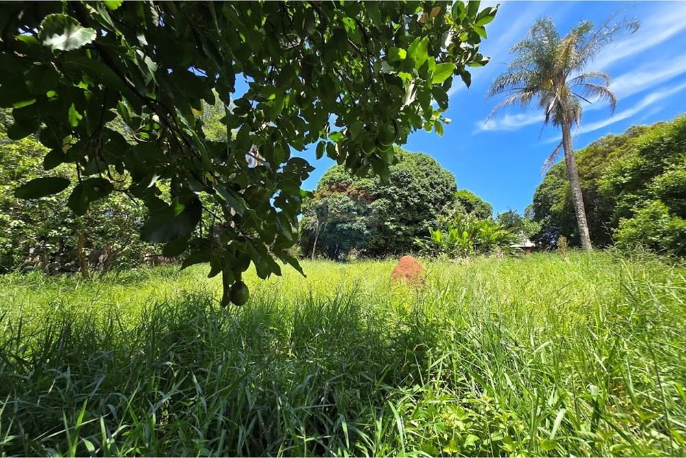 Terreno - Venda - Botucatu , São Paulo - 20260214_111220.jpg - 630481020-61