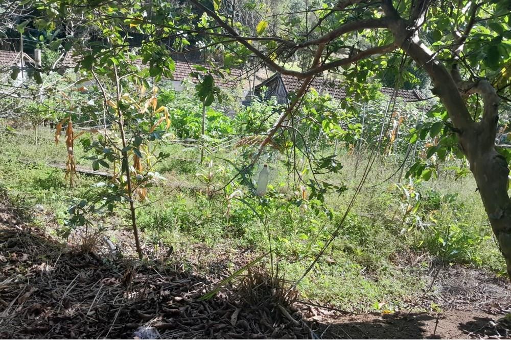 Chácara / Sítio / Fazenda - Venda - Bom Jardim , Rio de Janeiro - WhatsApp Image 2025-12-01 at 10.15.01 (2).jpeg - 630171007-64