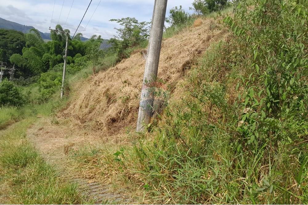 Terreno - Venda - Bom Jardim , Rio de Janeiro - WhatsApp Image 2025-01-18 at 09.52.09.jpeg - 630171008-29