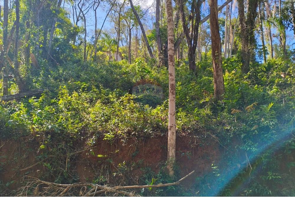 Terreno - Venda - Mairiporã , São Paulo - Terreno rafael.jpg - 631361059-12