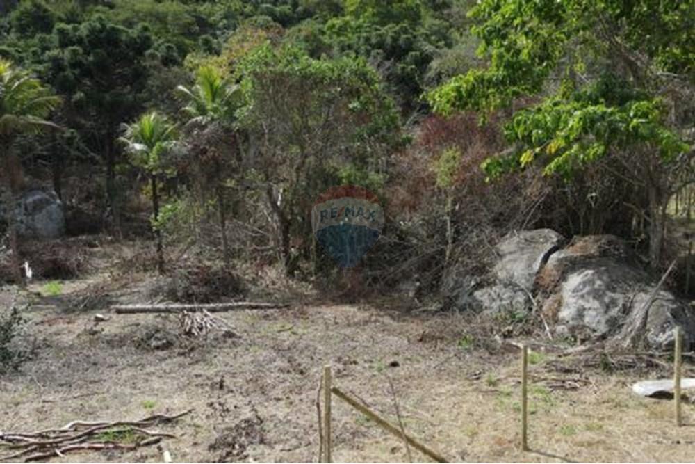 Terreno - Venda - Paraíba do Sul , Rio de Janeiro - 7.jpg - 631611011-3