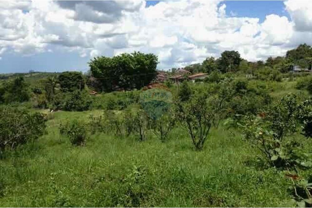 Chácara / Sítio / Fazenda - Venda - Santa Isabel , São Paulo - WhatsApp Image 2025-05-16 at 13.14.35 (1).jpeg - 631491020-48