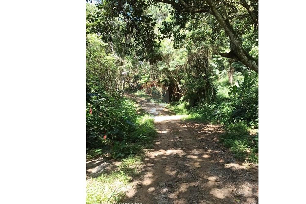 Terreno - Venda - Mairiporã , São Paulo - WhatsApp Image 2025-02-21 at 12.03.19.jpeg - 631361025-30