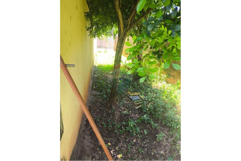 Casa - Alugar - Araçatuba , São Paulo - e1d0c2bf-cba8-4316-9631-889ea9d42b59.jpg - 630541058-41