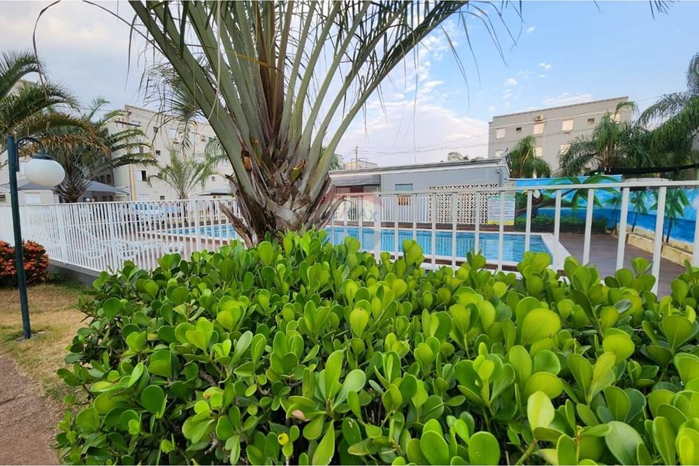 Apartamento - Alugar - Araçatuba , São Paulo - b052d7f0-5f4c-4af5-8944-ce38e62c9d5c.jpg - 630541058-51