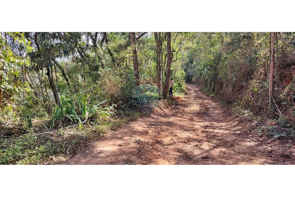 Terreno - Venda - Petrópolis , Rio de Janeiro - IMG_20250814_100028.jpg - 630131061-30