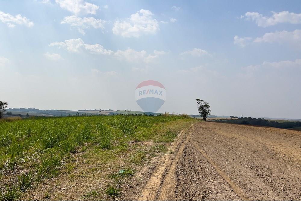 Terreno - Venda - Boituva , São Paulo - IMG_3606_DNG.jpg - 630601137-110