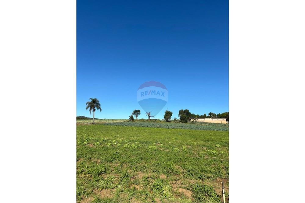 Terreno - Venda - São Roque , São Paulo - WhatsApp Image 2025-07-18 at 10.29.26.jpeg - 631601004-126