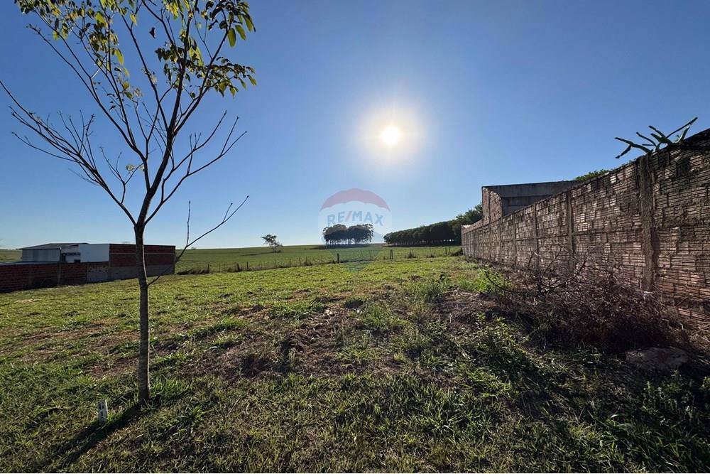 Terreno - Venda - Promissão , São Paulo - IMG-20250925-WA0276.jpg - Quintal - 631011035-24