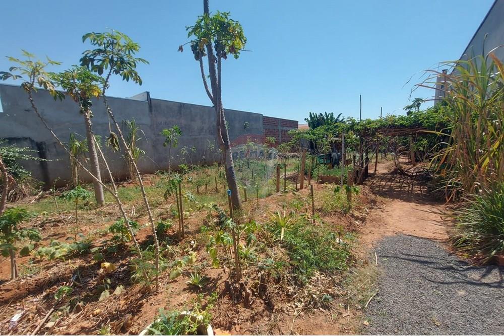 Terreno - Venda - Presidente Prudente , São Paulo - WhatsApp Image 2025-10-02 at 13.02.25.jpeg - 630861066-6