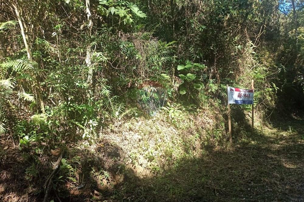 Terreno - Venda - Mairiporã , São Paulo - WhatsApp Image 2025-07-31 at 01.49.03 (1).jpeg - 631361025-34