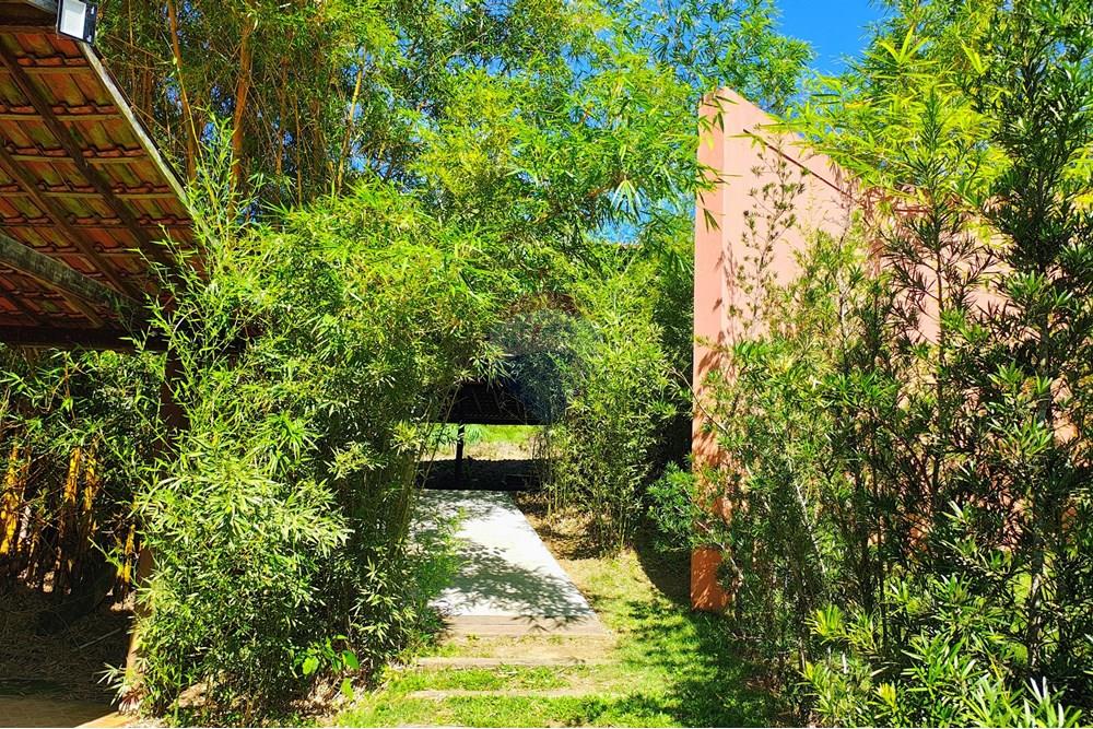 Outros - Alugar - Rio de Janeiro , Rio de Janeiro - IMG_20251110_142502021_HDR_AE.jpg - 630121005-376