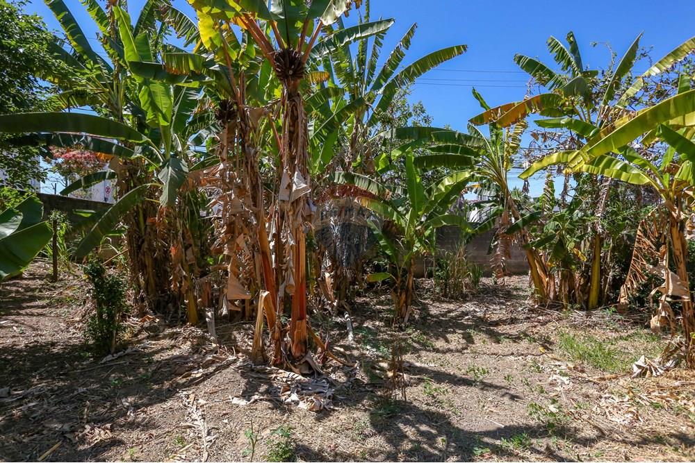 Terreno - Venda - Sorocaba , São Paulo - IMG_4865.jpg - 630601207-23