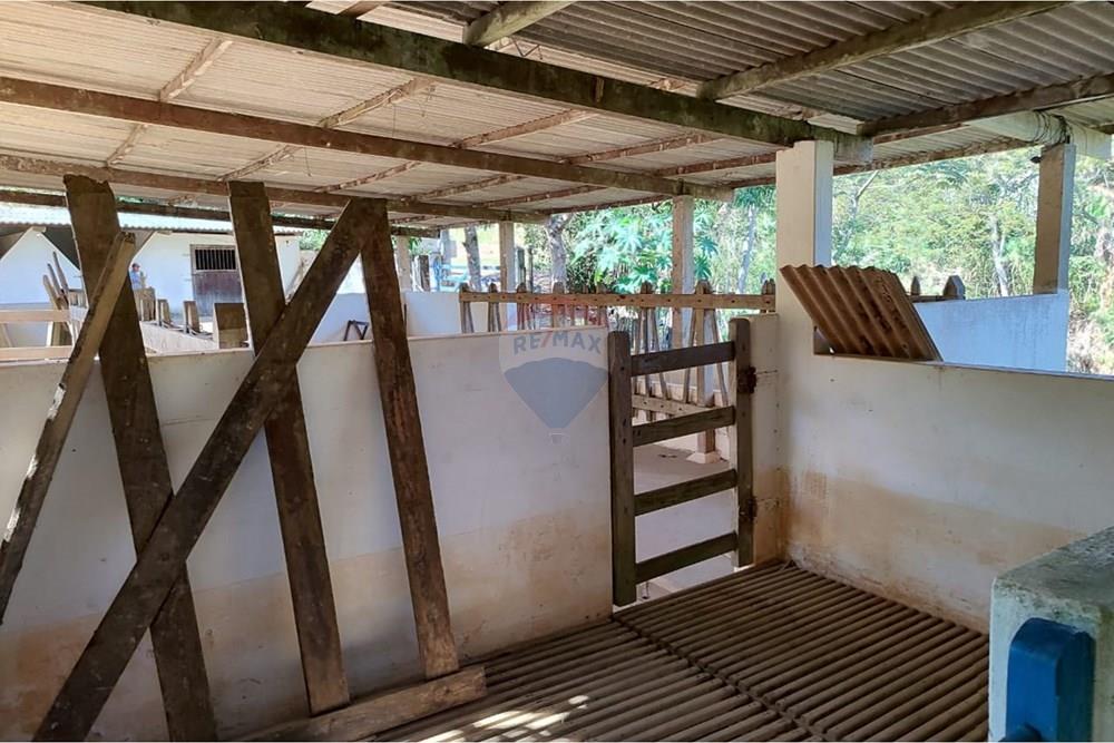 Chácara / Sítio / Fazenda - Venda - Sapucaia , Rio de Janeiro - WhatsApp Image 2026-02-09 at 10.38.35 (2).jpeg - 630191030-39