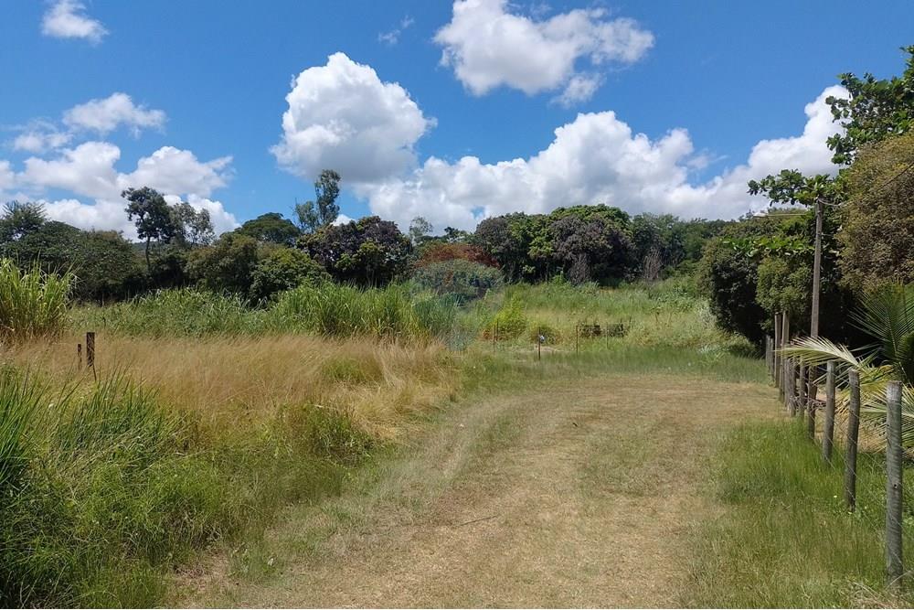 Terreno - Venda - Paraíba do Sul , Rio de Janeiro - IMG_20250225_111634_HDR.jpg - 631411001-104