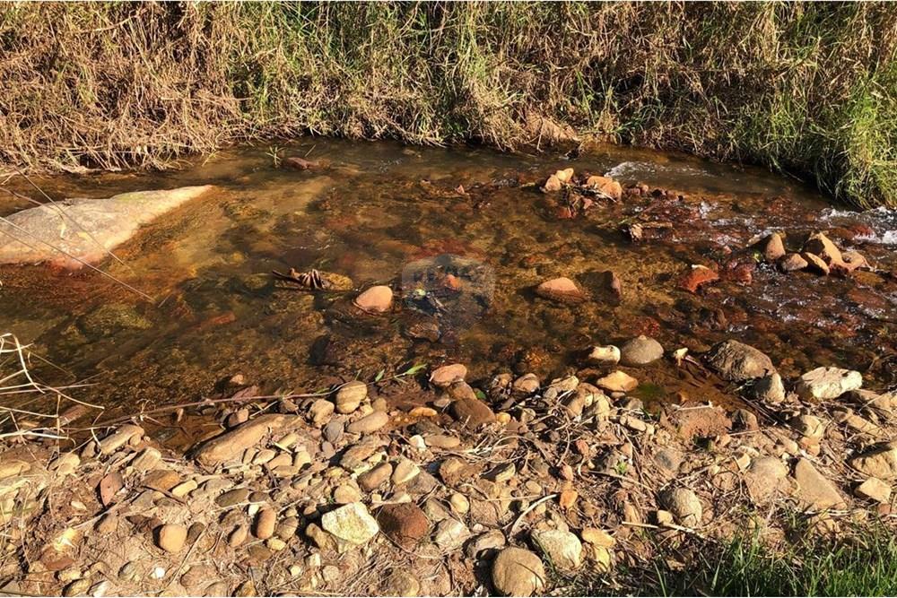 Chácara / Sítio / Fazenda - Venda - Monteiro Lobato , São Paulo - IMG-20240726-WA0112.jpg - 631431003-134