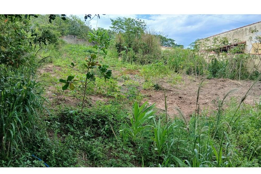 Terreno - Venda - São Pedro da Aldeia , Rio de Janeiro - 20251018_132723.jpg - 631591029-27
