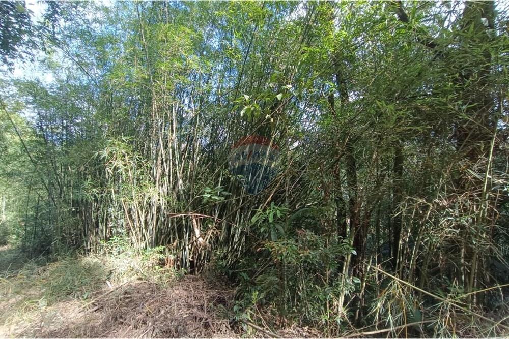 Terreno - Venda - Teresópolis , Rio de Janeiro - 13.jpeg - 630191109-22