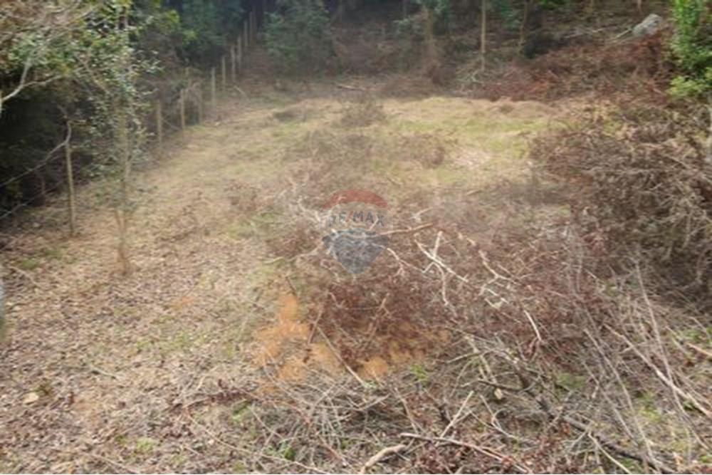 Terreno - Venda - Paraíba do Sul , Rio de Janeiro - 11.jpg - 631611011-3