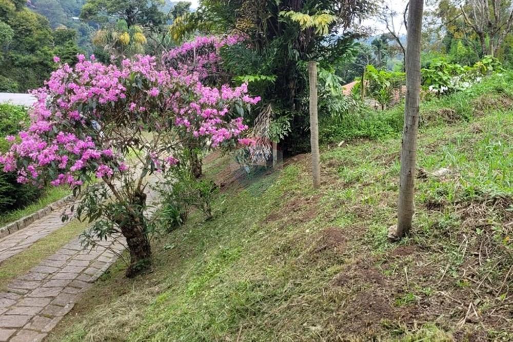 Terreno - Venda - Teresópolis , Rio de Janeiro - WhatsApp Image 2026-03-11 at 07.51.20 (1).jpeg - 630191030-40