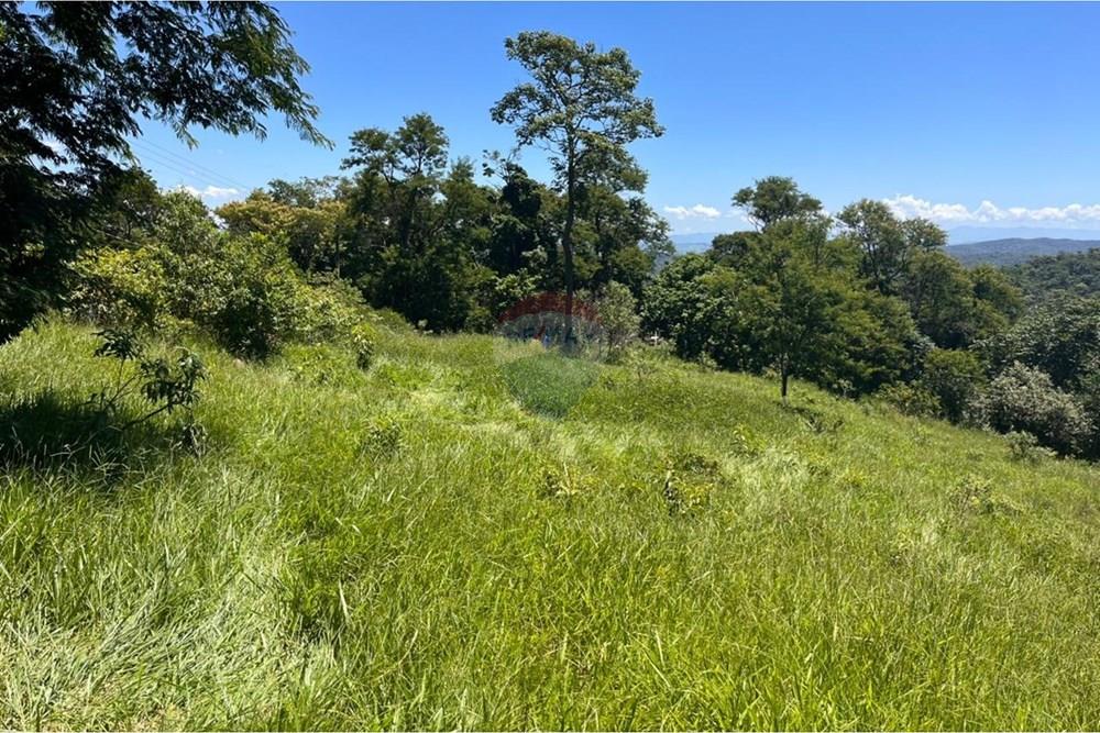 Terreno - Venda - Mogi das Cruzes , São Paulo - WhatsApp Image 2026-02-24 at 13.22.13.jpeg - 631251058-2