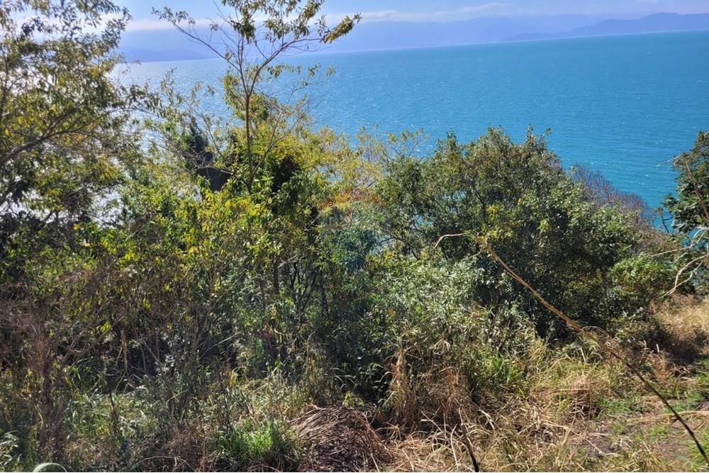 Terreno - Venda - Ilhabela , São Paulo - WhatsApp Image 2025-08-17 at 14.01.44.jpeg - 690881023-41
