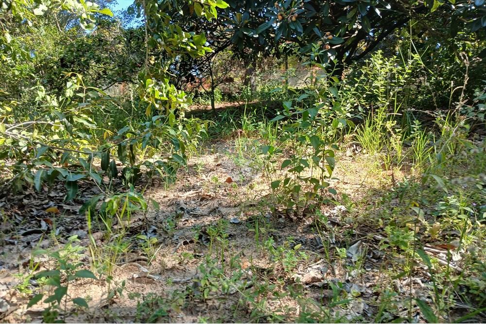 Terreno - Venda - Salto de Pirapora , São Paulo - 20250306_151931(0).jpg - 631181028-68