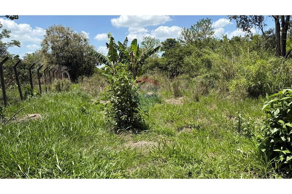 Chácara / Sítio / Fazenda - Venda - Porangaba , São Paulo - WhatsApp Image 2025-11-28 at 09.40.07 (1).jpeg - 630481027-141