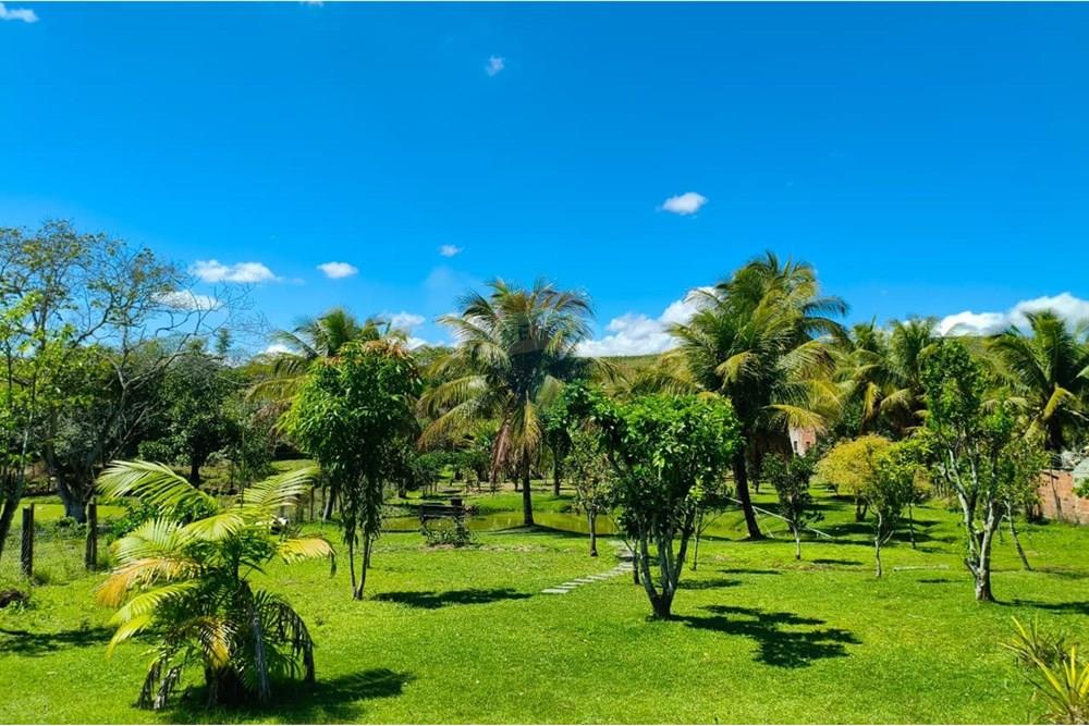 Chácara / Sítio / Fazenda - Venda - Rio Bonito , Rio de Janeiro - WhatsApp Image 2025-09-22 at 14.46.00 (1).jpeg - 631351005-11