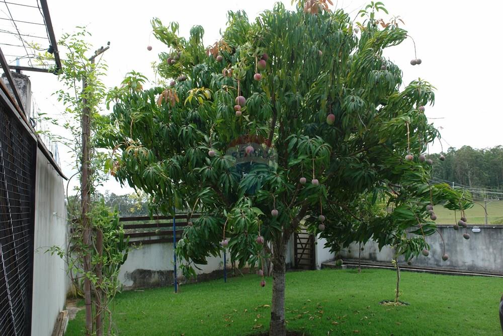 Galpão - Alugar - Votorantim , São Paulo - DSC00576.JPG - 631701010-8